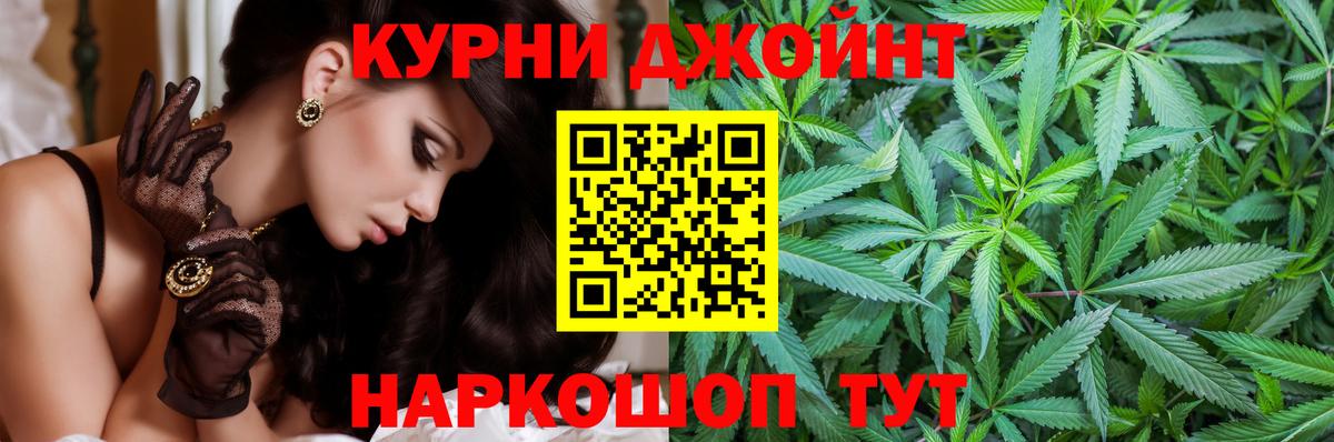 Каннабис план Семилуки